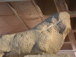 Ciudad de Elche 2022